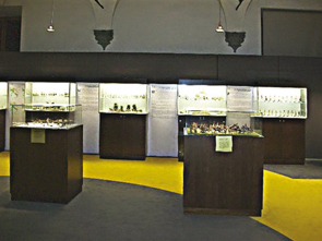 gsettore musei museo napoleonico Firenze 1 (2)
